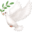  ️